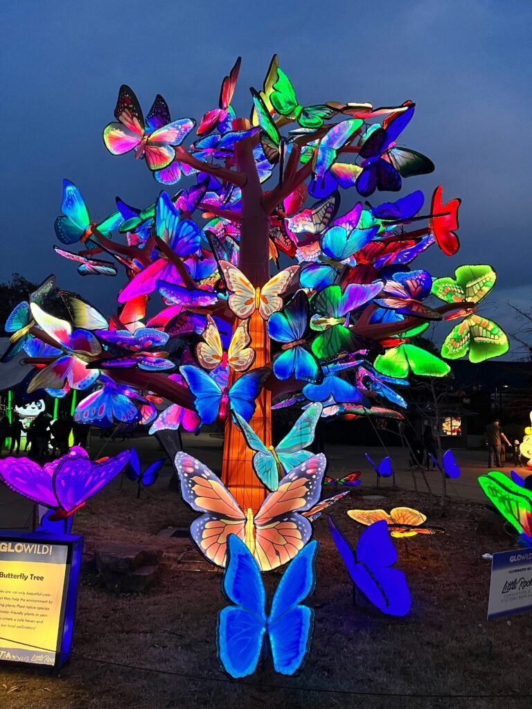 A Complete Guide to Little Rock Zoo Tickets: What You Need to Know little rock zoo tickets